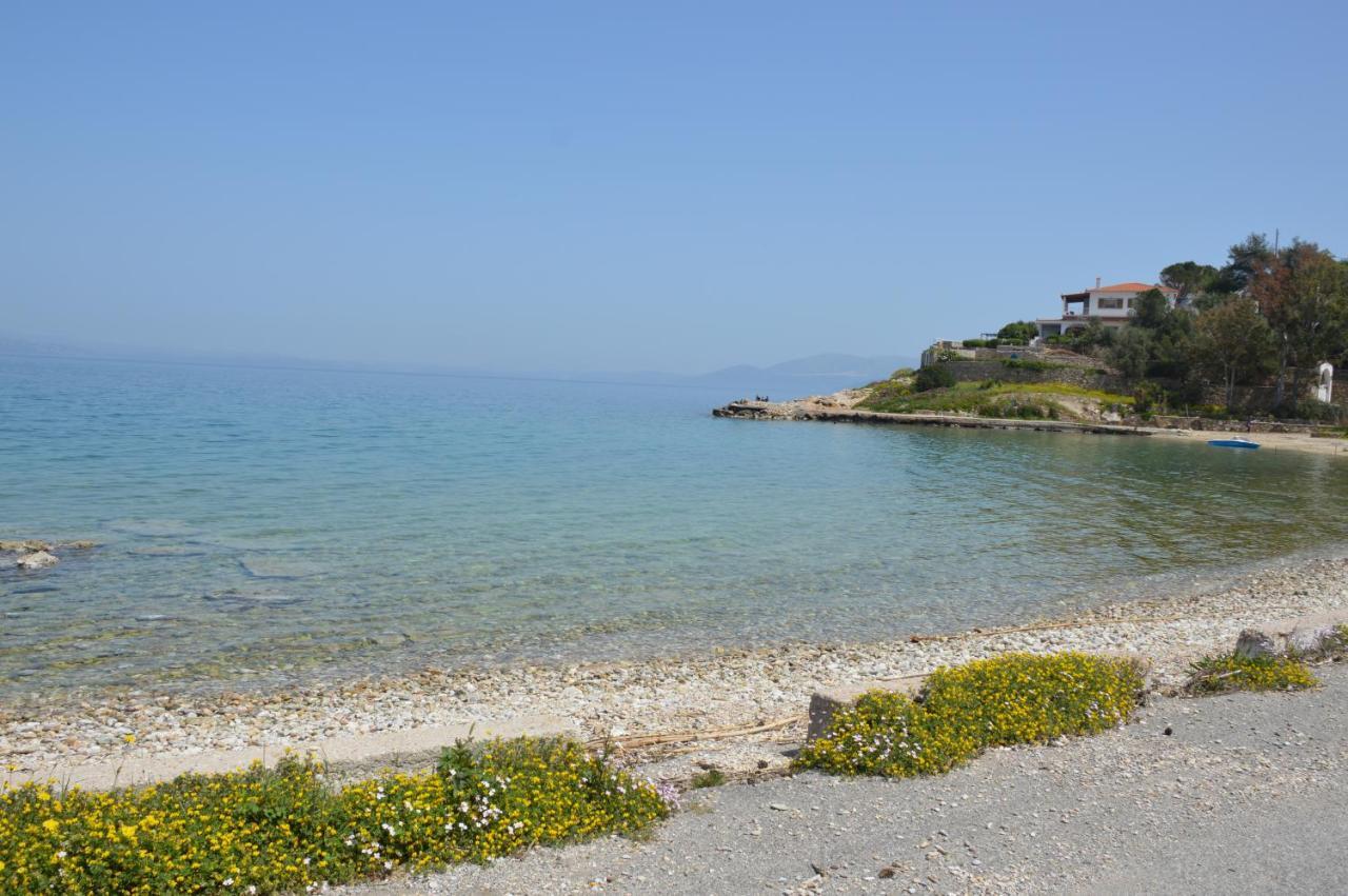 Epipleon Suites Agioi Apostoloi  Exterior photo